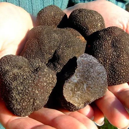 Feudo Bauly فندق 4*