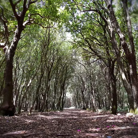 فندق Feudo Bauly 4*