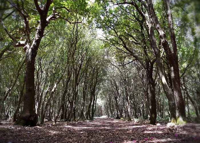 Hotel Feudo Bauly 4*